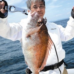 Marine T Design　マリンティーデザイン 釣果 投稿