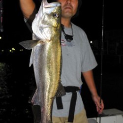 Marine T Design　マリンティーデザイン 釣果