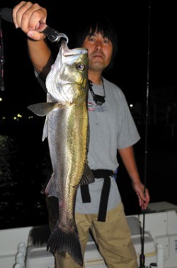 Marine T Design　マリンティーデザイン 釣果