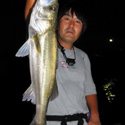 Marine T Design　マリンティーデザイン 釣果