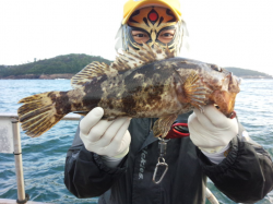 MATSUSHIMA SEANET 釣果