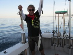 ジギング船 BLUEWATER 釣果