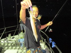 ジギング船 BLUEWATER 釣果 投稿…