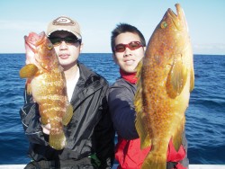 海峡 釣果 投稿