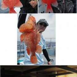 海峡 釣果 投稿