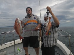 sea boss　シーボス 釣果