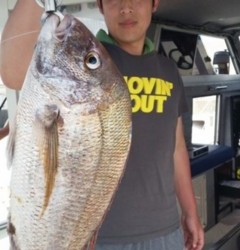 タイラバ船の海豚 釣果 投稿