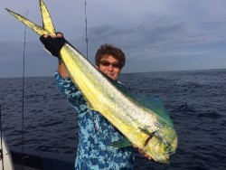 ゲームフィッシング バレントン 釣果 投稿