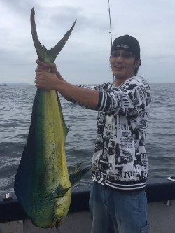 ゲームフィッシング バレントン 釣果 投稿