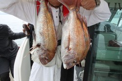 松本釣船２ 釣果 投稿