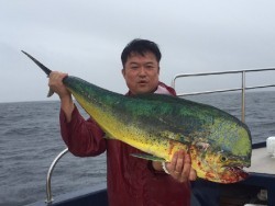 ゲームフィッシング バレントン 釣果 投稿