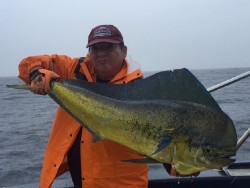 ゲームフィッシング バレントン 釣果 投稿