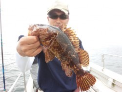 MATSUSHIMA SEANET 釣果 投稿