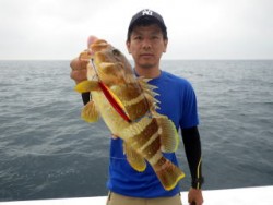 芳美丸 釣果 投稿