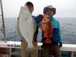 芳美丸 釣果 投稿