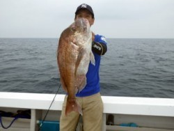 芳美丸 釣果 投稿