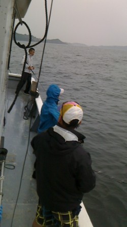 FIRE DOLPHIN 釣果 投稿