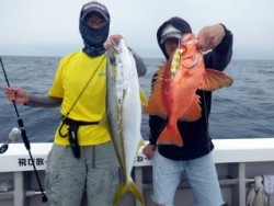 芳美丸 釣果 投稿