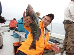 MATSUSHIMA SEANET 釣果 投稿