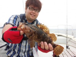 MATSUSHIMA SEANET 釣果 …