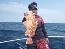 芳美丸 釣果 投稿
