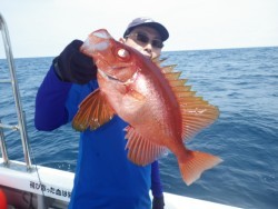 芳美丸 釣果 投稿