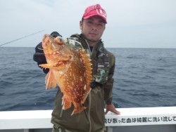 芳美丸 釣果 投稿