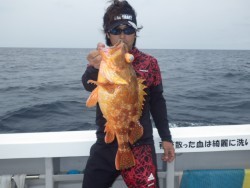 芳美丸 釣果 投稿