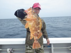 芳美丸 釣果 投稿