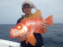 芳美丸 釣果 投稿