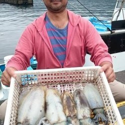 エヌテックマリン 釣果 投稿