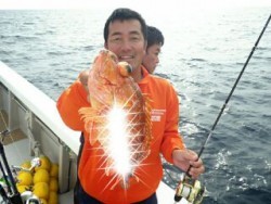 芳美丸 釣果 投稿