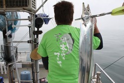 松本釣船２ 釣果 投稿