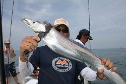 松本釣船２ 釣果 投稿