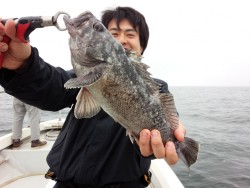 MATSUSHIMA SEANET 釣果 …