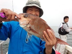 MATSUSHIMA SEANET 釣果 投稿