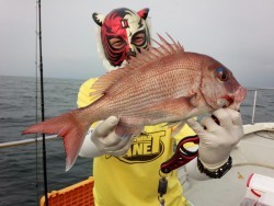 MATSUSHIMA SEANET 釣果 投稿