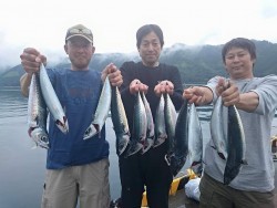 エヌテックマリン 釣果 投稿