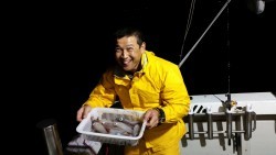 オーシャンズ 釣果 投稿