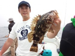 MATSUSHIMA SEANET 釣果 投稿