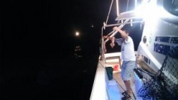 芳美丸 釣果 投稿