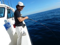 STATUS 釣果 投稿