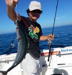 STATUS 釣果 投稿