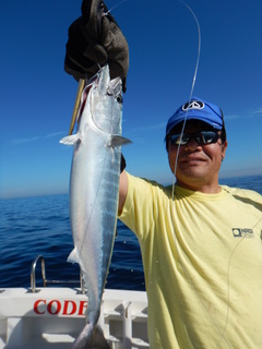 STATUS 釣果 投稿