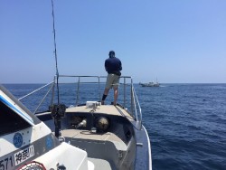 ゲームフィッシング バレントン 釣果