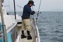 松本釣船２ 釣果