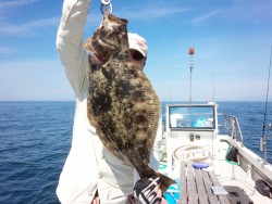 MATSUSHIMA SEANET 釣果