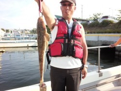 MATSUSHIMA SEANET 釣果