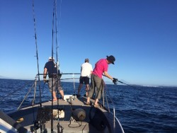 ゲームフィッシング バレントン 釣果