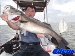 オーシャンマスター 釣果